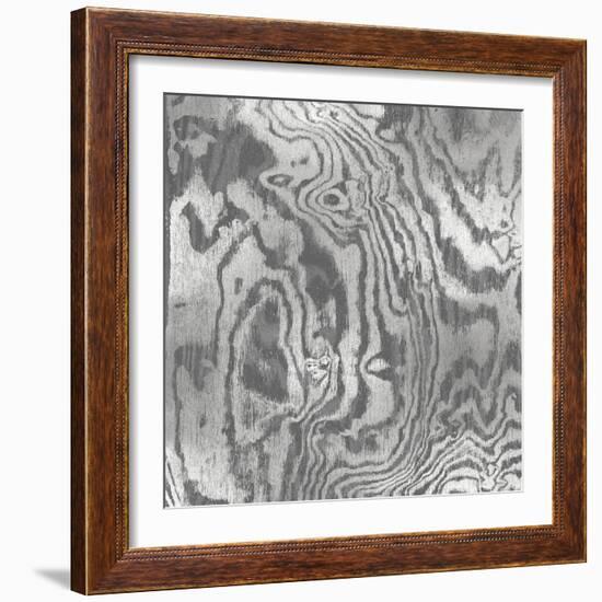 Silver Variations I-Danielle Carson-Framed Art Print