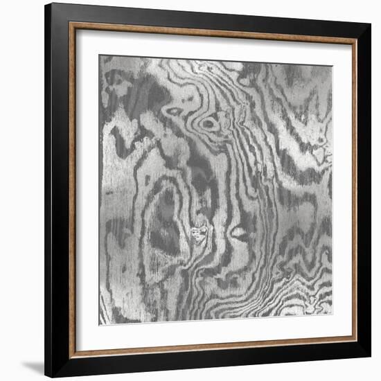 Silver Variations I-Danielle Carson-Framed Art Print