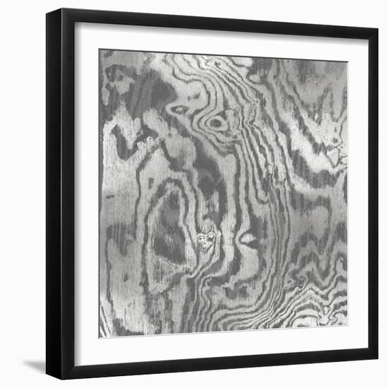 Silver Variations I-Danielle Carson-Framed Art Print