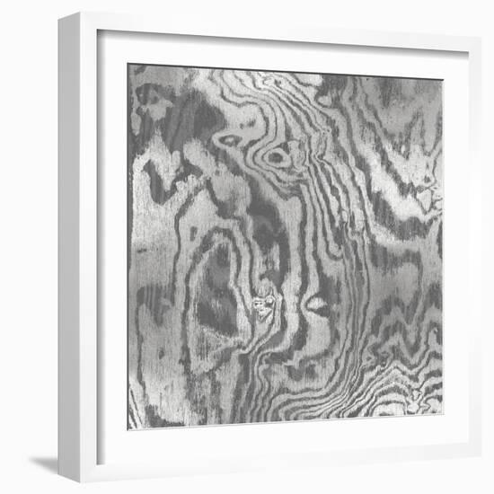 Silver Variations I-Danielle Carson-Framed Art Print