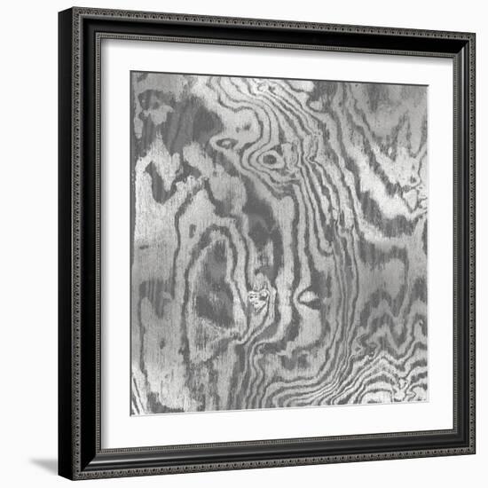 Silver Variations I-Danielle Carson-Framed Art Print