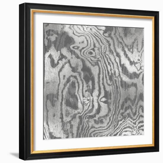 Silver Variations I-Danielle Carson-Framed Art Print