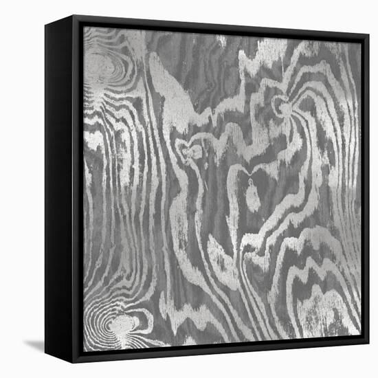 Silver Variations II-Danielle Carson-Framed Stretched Canvas