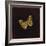 Silver Washed Fritillary Butterfly, 2000-Amelia Kleiser-Framed Giclee Print