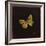 Silver Washed Fritillary Butterfly, 2000-Amelia Kleiser-Framed Giclee Print