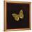 Silver Washed Fritillary Butterfly, 2000-Amelia Kleiser-Framed Premier Image Canvas