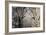 Silver Whispers II-Edward Aparicio-Framed Giclee Print