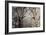 Silver Whispers II-Edward Aparicio-Framed Giclee Print