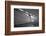 Silver-Filipe P Neto-Framed Photographic Print