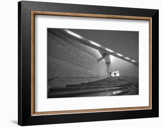 Silver-Filipe P Neto-Framed Photographic Print