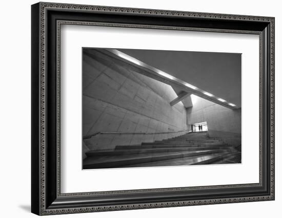 Silver-Filipe P Neto-Framed Photographic Print