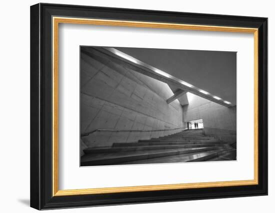 Silver-Filipe P Neto-Framed Photographic Print