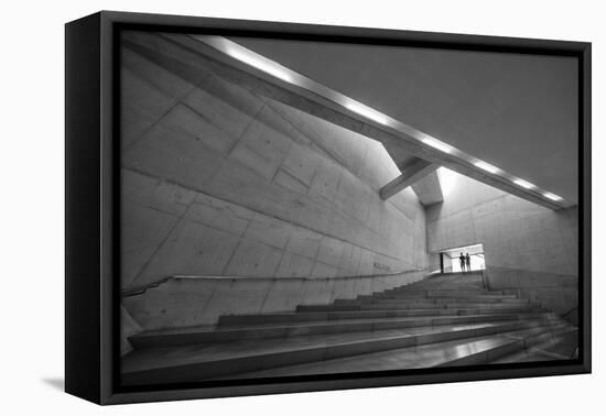 Silver-Filipe P Neto-Framed Premier Image Canvas