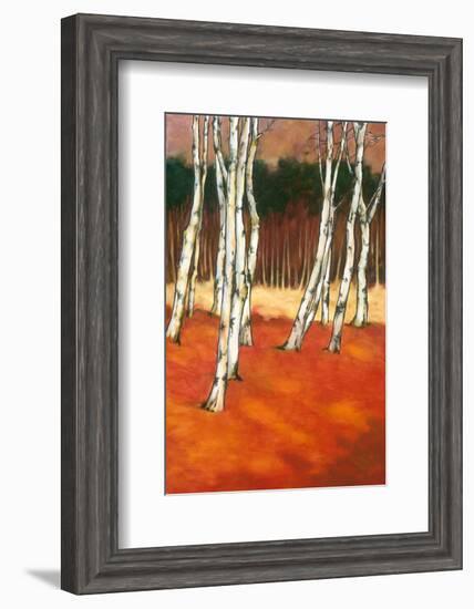 SilverBirch II-Graham Reynolds-Framed Art Print