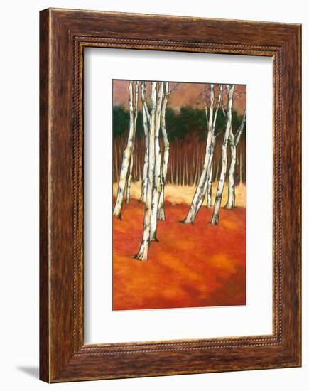 SilverBirch II-Graham Reynolds-Framed Art Print