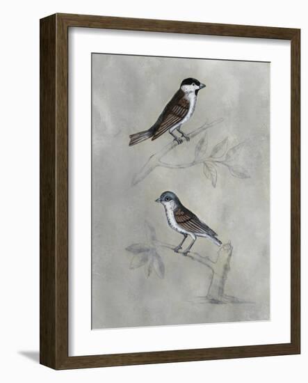 Silvered Aviary III-Naomi McCavitt-Framed Art Print