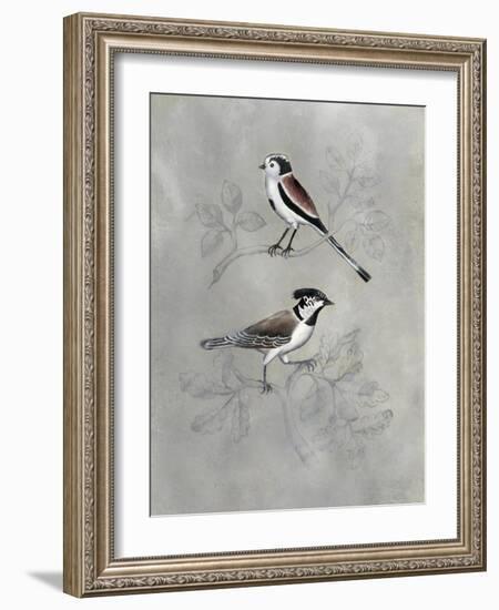 Silvered Aviary IV-Naomi McCavitt-Framed Art Print