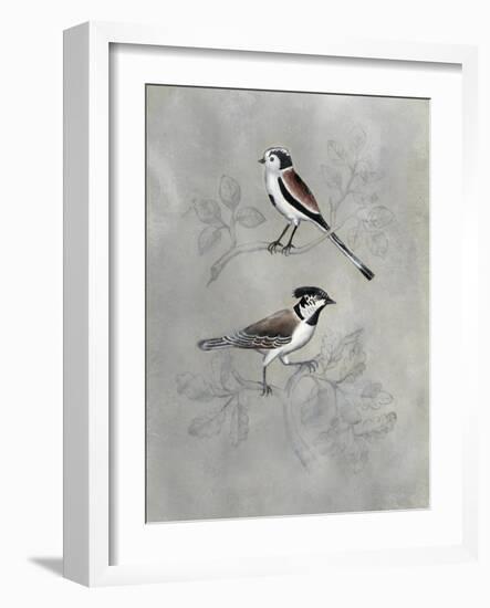 Silvered Aviary IV-Naomi McCavitt-Framed Art Print
