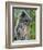 Silvered Langur Female Suckling Baby in Tree, Bako National Park, Sarawak, Borneo-Tony Heald-Framed Photographic Print