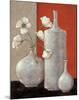 Silverleaf And Poppies II-Janet Kruskamp-Mounted Art Print