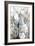 Silversong Birch II-null-Framed Art Print