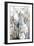 Silversong Birch II-null-Framed Premium Giclee Print