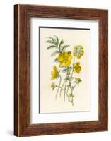 Silverweed-F. Edward Hulme-Framed Photographic Print