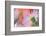 Silvery Aster-Karin Connolly-Framed Premium Giclee Print