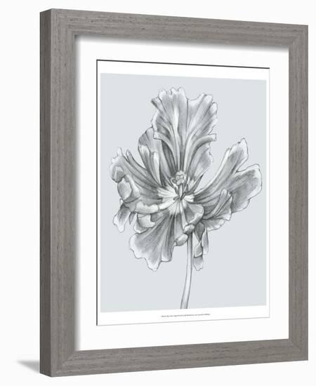 Silvery Blue Tulips III-Jennifer Goldberger-Framed Art Print