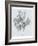 Silvery Blue Tulips III-Jennifer Goldberger-Framed Art Print