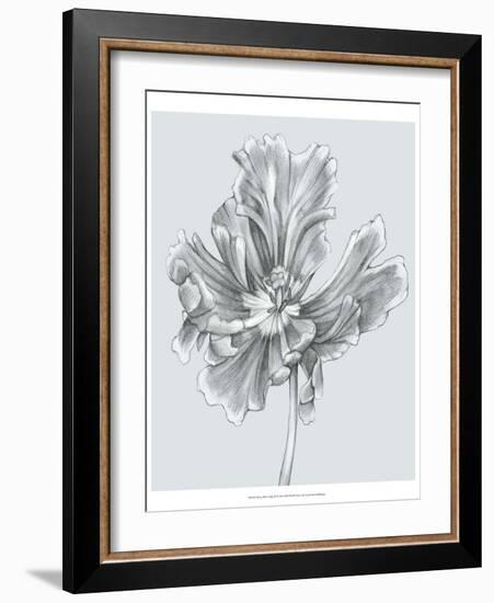 Silvery Blue Tulips III-Jennifer Goldberger-Framed Art Print