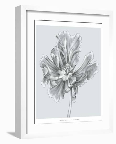 Silvery Blue Tulips III-Jennifer Goldberger-Framed Art Print