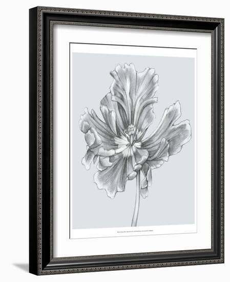 Silvery Blue Tulips III-Jennifer Goldberger-Framed Art Print