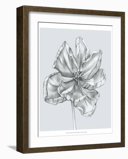 Silvery Blue Tulips IV-Jennifer Goldberger-Framed Art Print