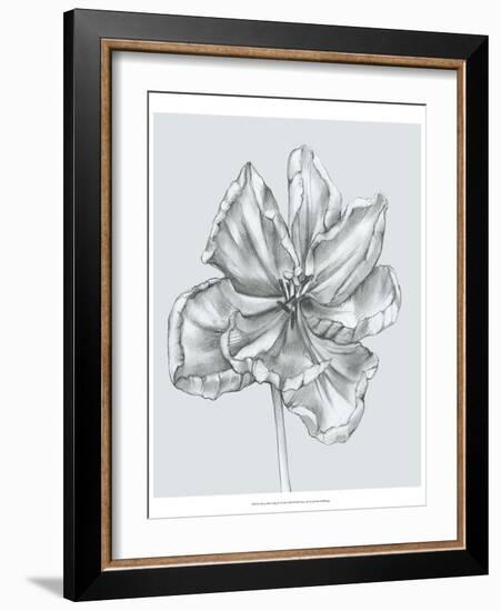 Silvery Blue Tulips IV-Jennifer Goldberger-Framed Art Print