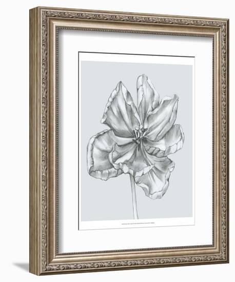 Silvery Blue Tulips IV-Jennifer Goldberger-Framed Art Print