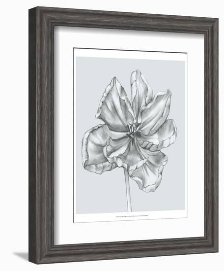 Silvery Blue Tulips IV-Jennifer Goldberger-Framed Art Print