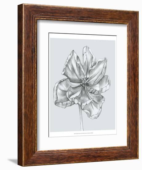 Silvery Blue Tulips IV-Jennifer Goldberger-Framed Art Print