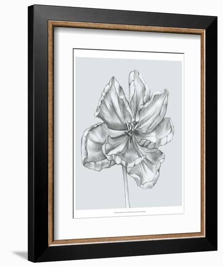 Silvery Blue Tulips IV-Jennifer Goldberger-Framed Art Print