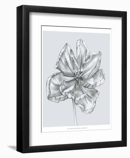 Silvery Blue Tulips IV-Jennifer Goldberger-Framed Art Print