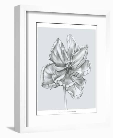 Silvery Blue Tulips IV-Jennifer Goldberger-Framed Art Print