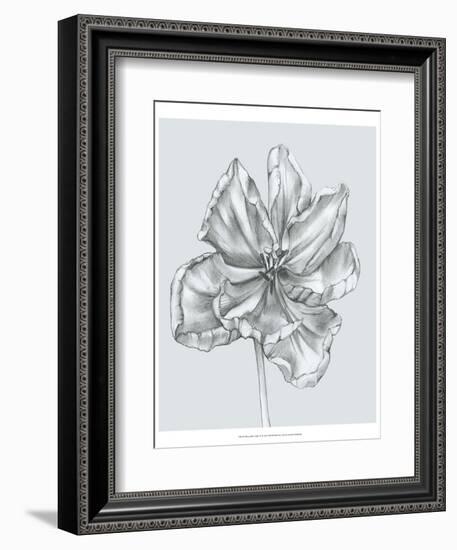 Silvery Blue Tulips IV-Jennifer Goldberger-Framed Art Print