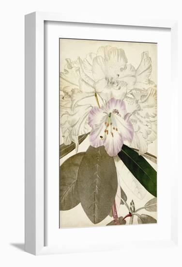 Silvery Botanicals IV-Vision Studio-Framed Art Print