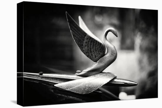 Silvery Swan-Lee Frost-Framed Stretched Canvas