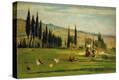 Stretched Canvas Print