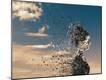 Photographic Print