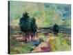 Stretched Canvas Print