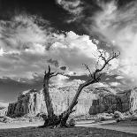 Monument Valley Juniper Tree and Mesa-Silvio Ligutti-Photographic Print