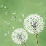 Flower Dandelion On Gray Background-silvionka-Art Print