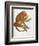 Simia Ursina-Baron Friedrich von Humboldt-Framed Giclee Print